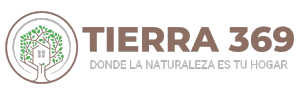 Tierra 369